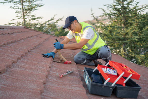 Best Roof Leak Repair  in Woodson Terrace, MO