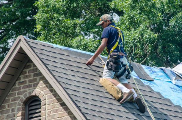 Best Roof Maintenance Services  in Woodson Terrace, MO